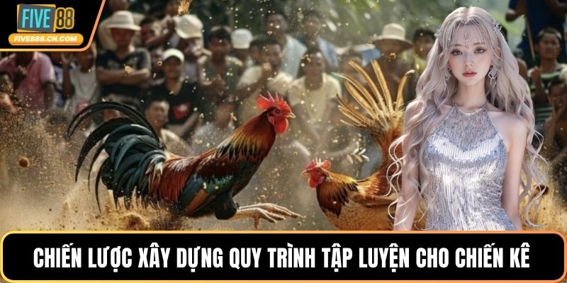 Chiến lược xây dựng quy trình tập luyện cho chiến kê 