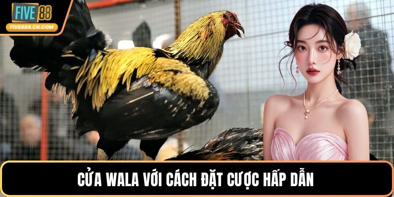 Cửa Wala với cách đặt cược hấp dẫn 