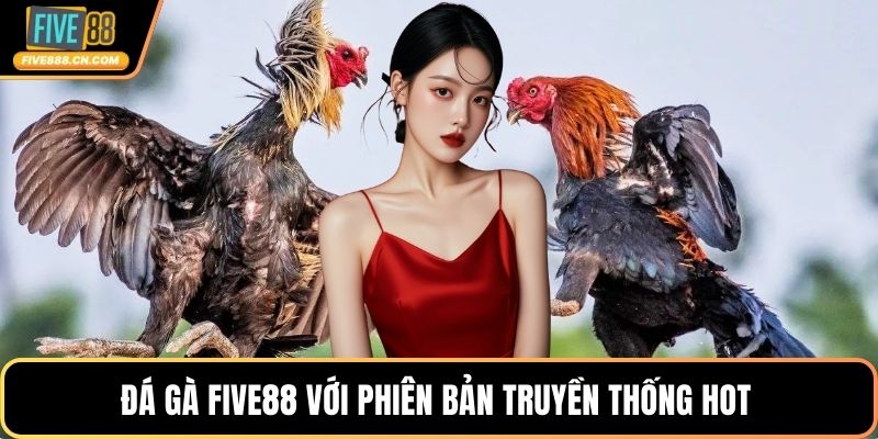Đá gà FIVE88 với phiên bản truyền thống hot 