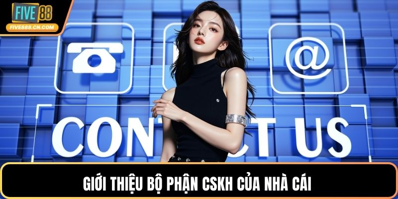 Giới thiệu bộ phận CSKH của nhà cái