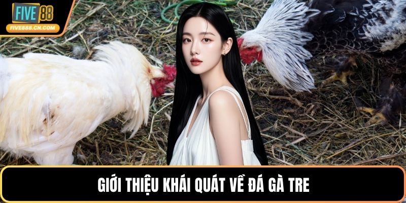 Giới thiệu khái quát về đá gà tre