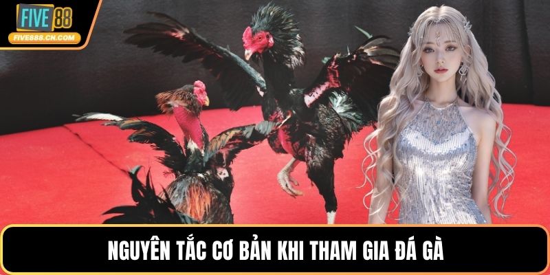 Nguyên tắc cơ bản khi tham gia đá gà