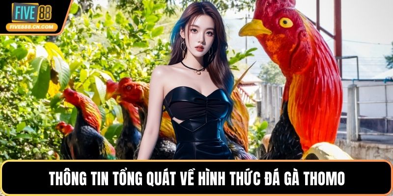 Thông tin tổng quát về hình thức đá gà Thomo